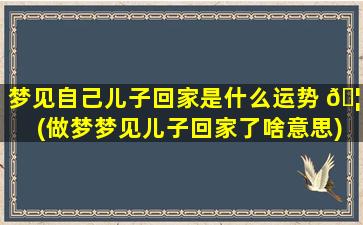 梦见自己儿子回家是什么运势 🦋 (做梦梦见儿子回家了啥意思)